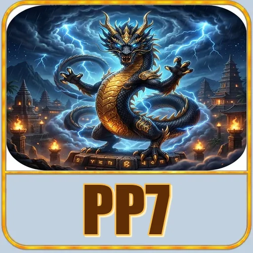 Troubleshooting pp7